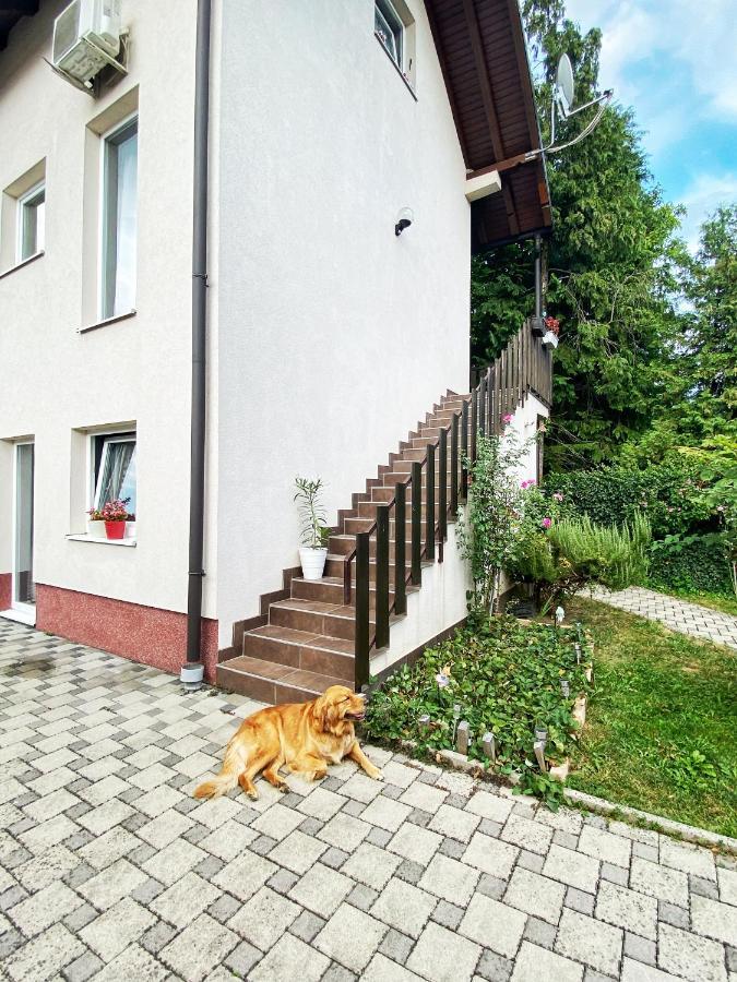 Hotel Guesthouse Stari Jasen Velika Mlaka Exterior foto